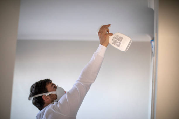 Mold Testing and Removal in Mount Vernon, MD
